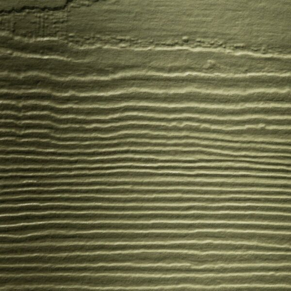 Värvinäidis: voodrilaud Hardie Plank ürgroheline 100×180 mm - Image 2