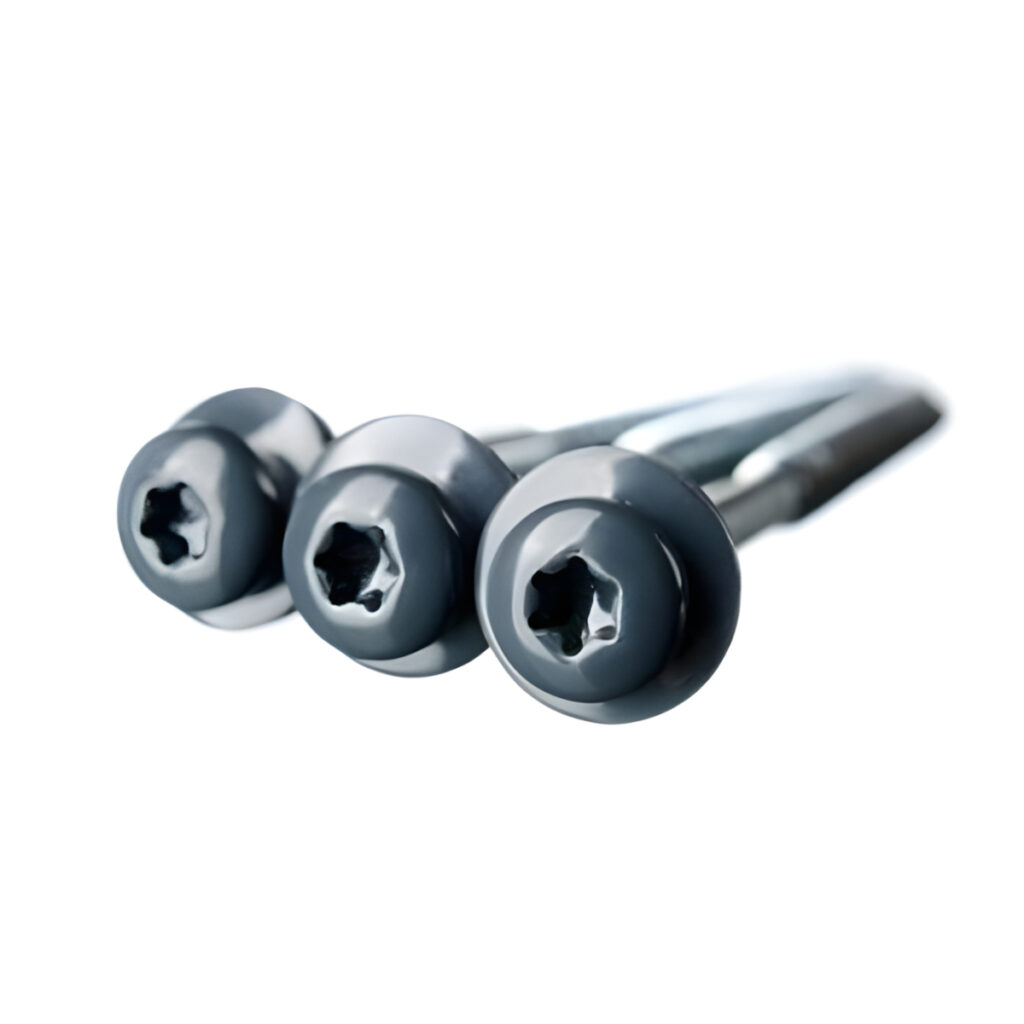 Isepuuriva-otsaga-Eternit-laineplaadi-kruvid-6,0-x-100-mm-grafiit,-100-tk