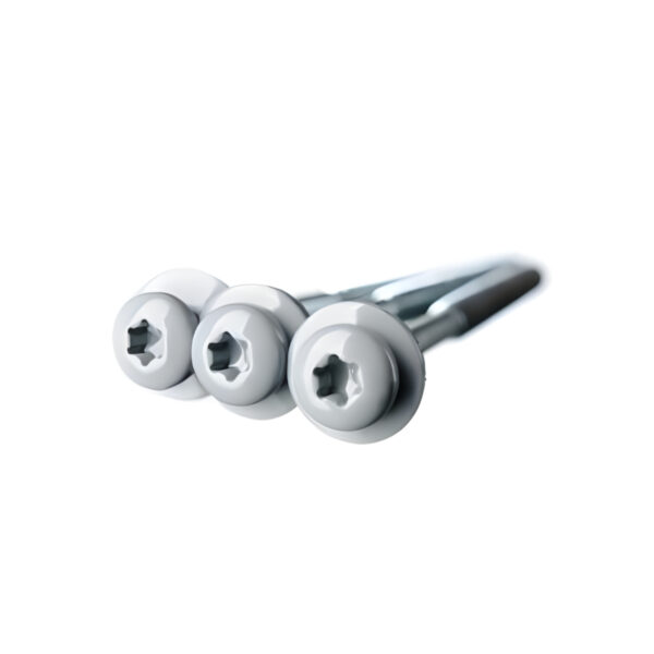 Isepuuriva-otsaga-Eternit-laineplaadi-kruvid-6,0-x-100-mm-hall,-100-tk