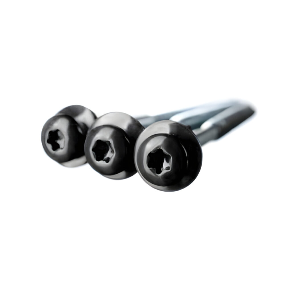 Isepuuriva-otsaga-Eternit-laineplaadi-kruvid-6,0-x-100-mm-must,-100-tk