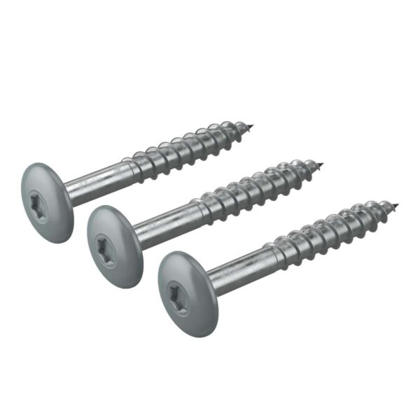Varvitud-Hardie-voodrilaua-kruvid-TORX-250-tk-pakis-Boothbay-sinine