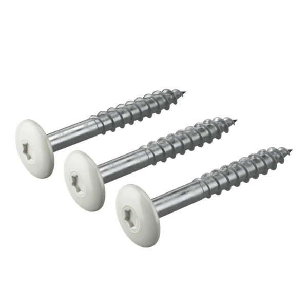 Varvitud-Hardie-voodrilaua-kruvid-TORX-250-tk-pakis-lumivalge