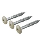 Varvitud-Hardie-voodrilaua-kruvid-TORX-250-tk-pakis-samblaroheline