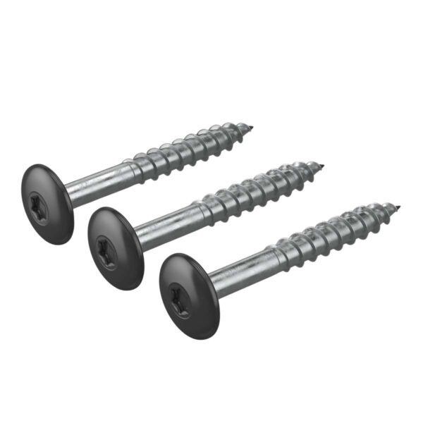 Varvitud-Hardie-voodrilaua-kruvid-TORX-250-tk-pakis-sudaoo-must