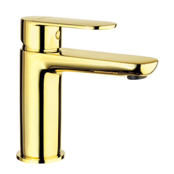 Kuldkroom-valamusegisti-Deante-Alpinia-14.5-cm,-messing