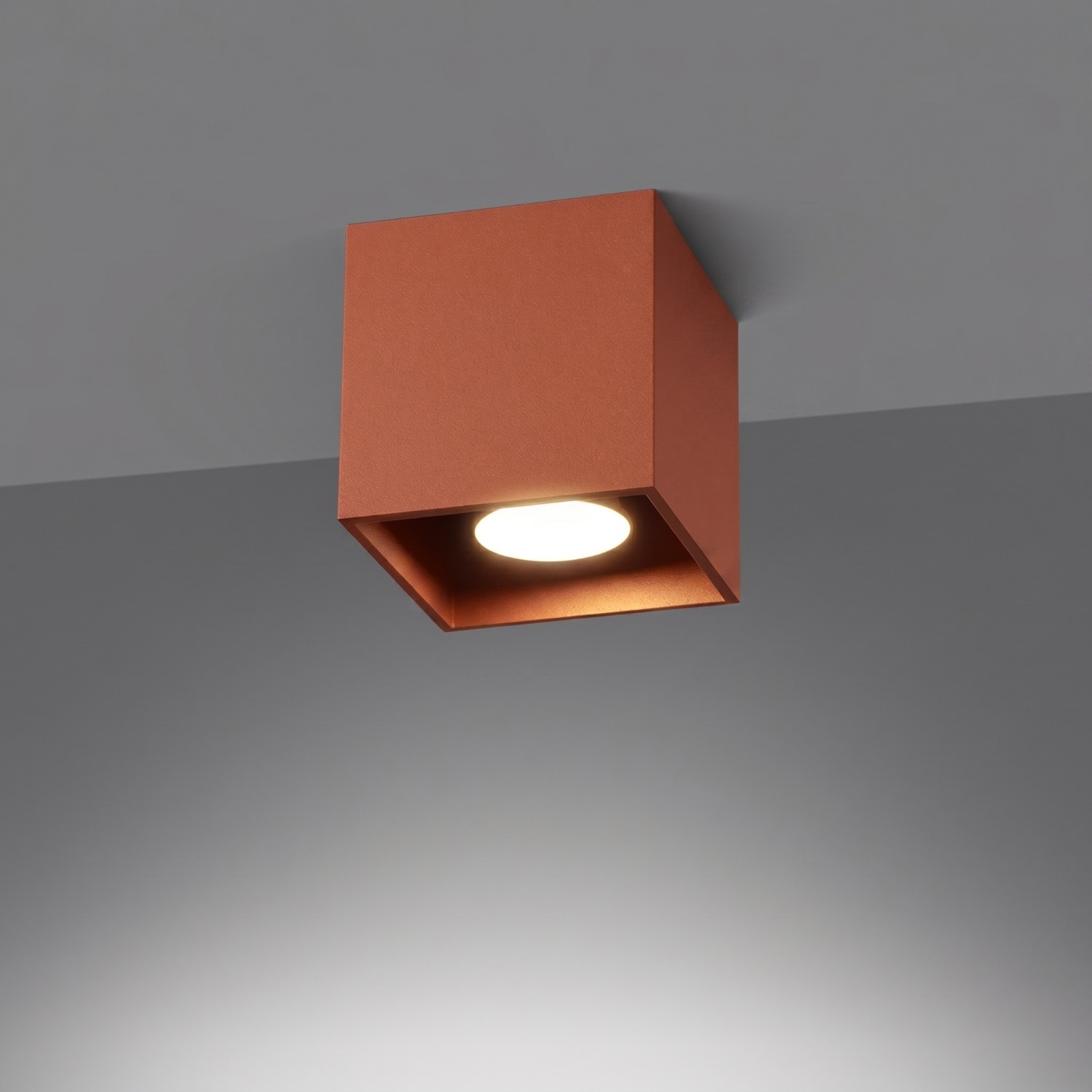 Plafoon QUAD 1 punane ooker - Pilt 4