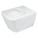 Seinapealne WC-pott Deante Blur 513x370 mm, valge