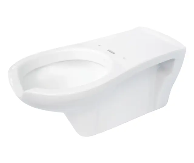 Seinapealne WC-pott liikumispuudega inimestele Deante Vital 680x368 mm, valge