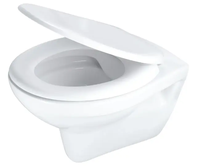 Seinapealne WC-pott prill-lauaga Deante Boro 529x375 mm, valge