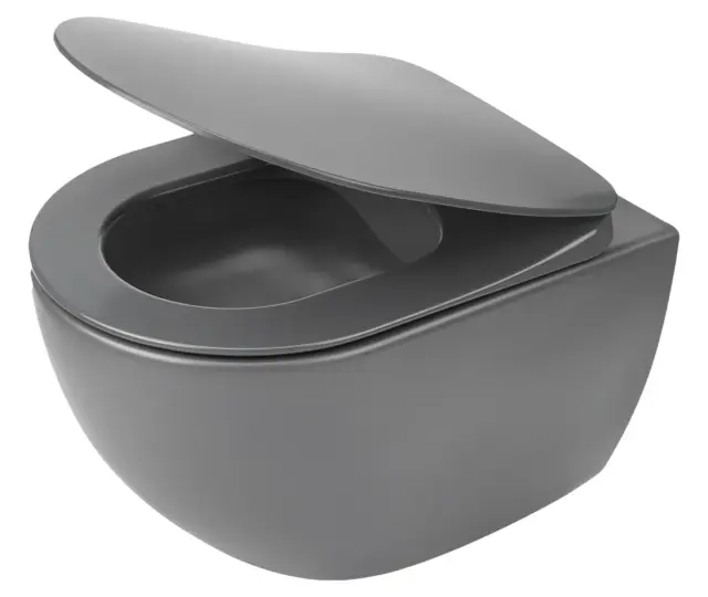 Seinapealne WC-pott prill-lauaga Deante Peonia 510x360 mm, titaan/antratsiit