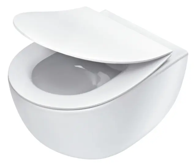 Seinapealne WC-pott prill-lauaga Deante Peonia, valge