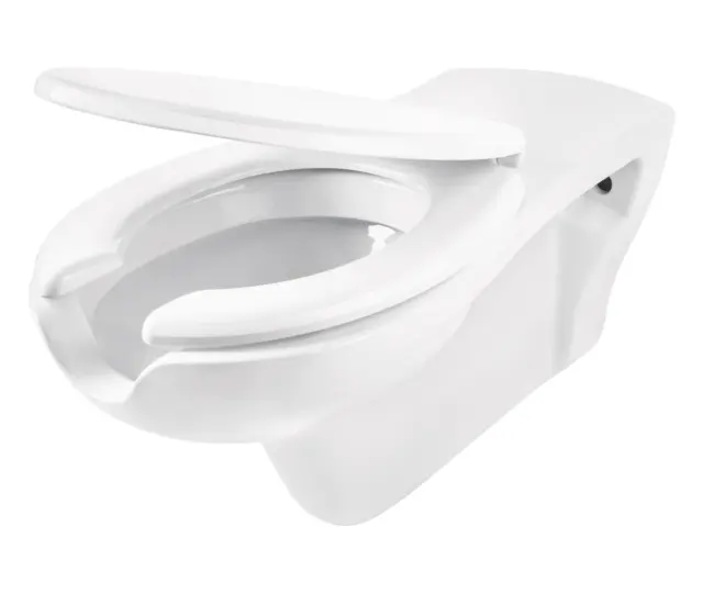 Seinapealne WC-pott prill-lauaga liikumispuudega inimestele Deante Vital 680x368 mm, valge