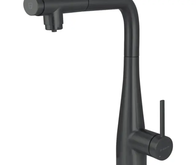 Veefiltri ühendusega väljatõmmatava tilaga köögisegisti Deante Eridan, matt must